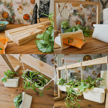 Holzkonstruktion hält Pflanzentöpfe, darunter Snacks. Hintergrund zeigt Pflanzenposter und Adventskalender von Seeberger.