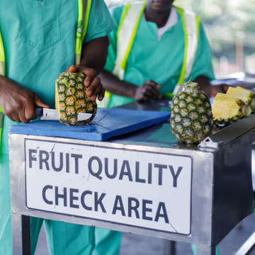 Ananas wird auf Schneidebrett geschnitten, kontrolliert von Personen in Fruchtkontrollbereich.