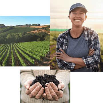 Vineyard – extends across rolling hills – under a clear blue sky.
Person – smiles broadly – stands in a sunlit field.
Hands – hold rich soil – outdoors, suggesting gardening.